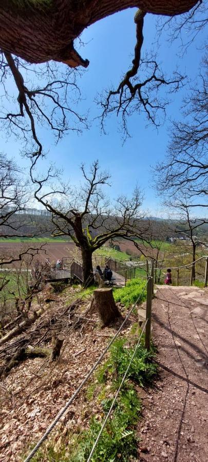 Apartamento Froschkoenig Mit Teichblick Trendelburg Exterior foto