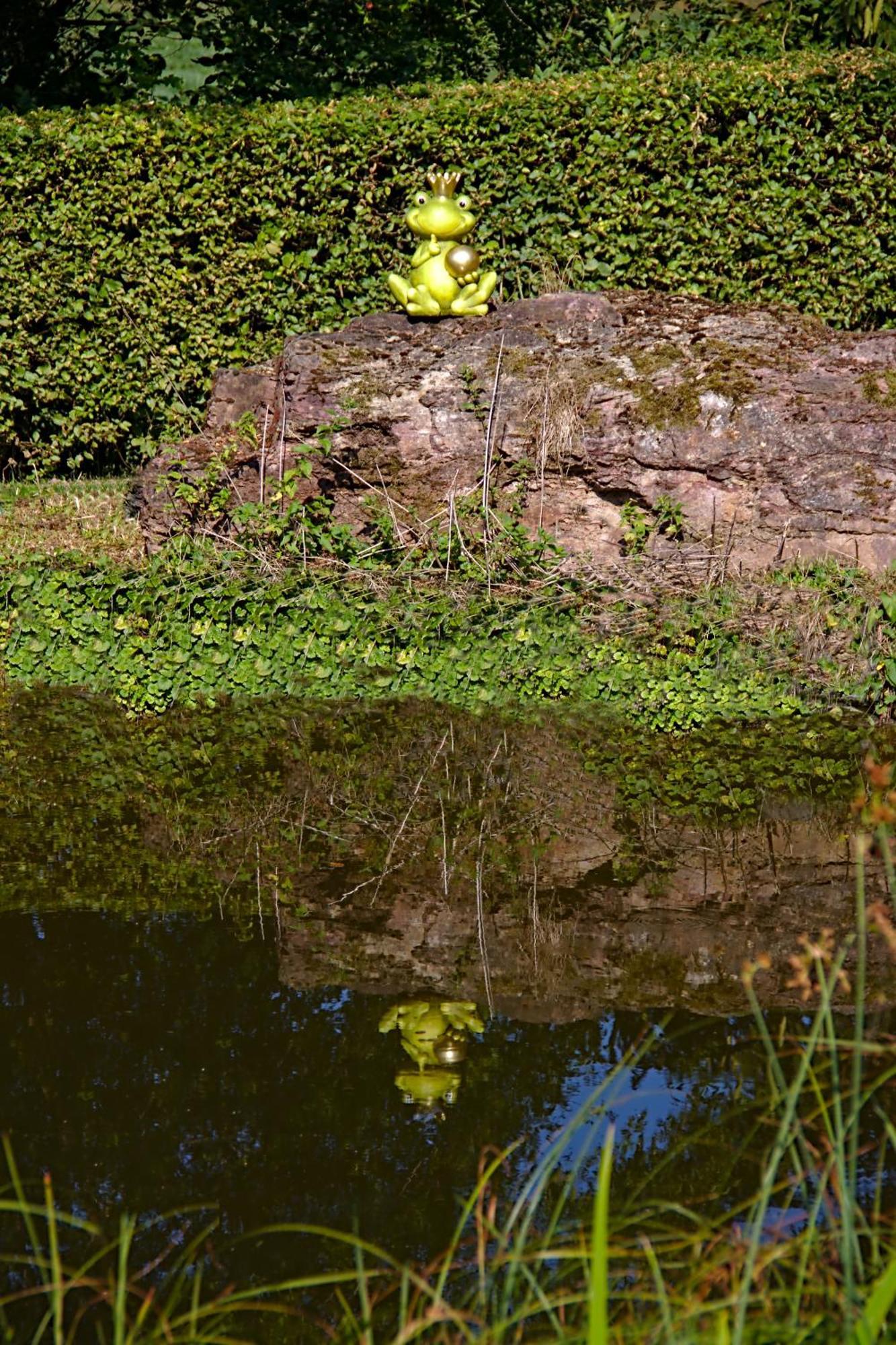 Apartamento Froschkoenig Mit Teichblick Trendelburg Exterior foto