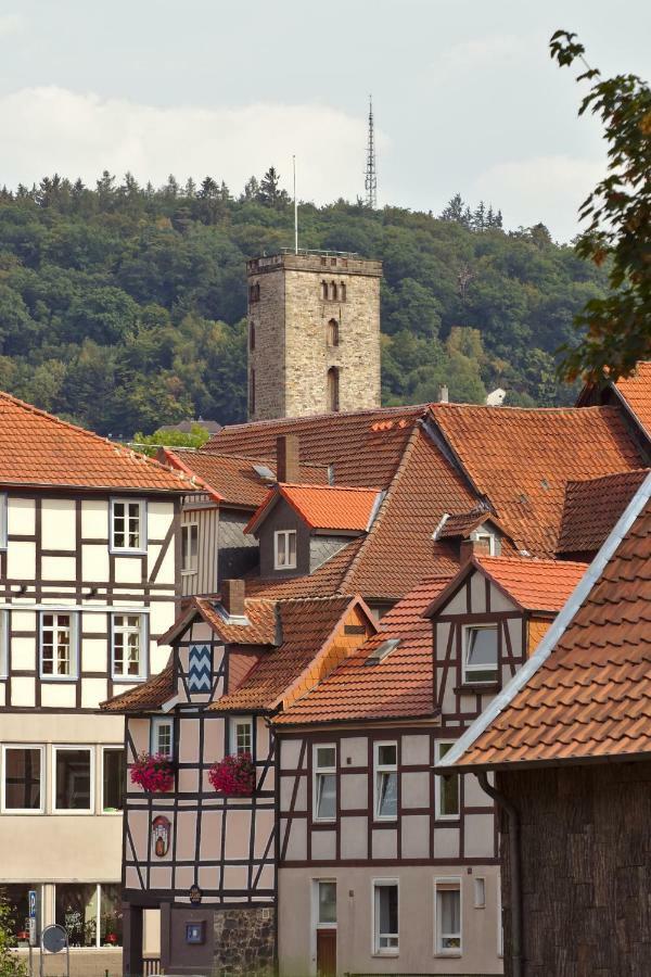 Apartamento Froschkoenig Mit Teichblick Trendelburg Exterior foto